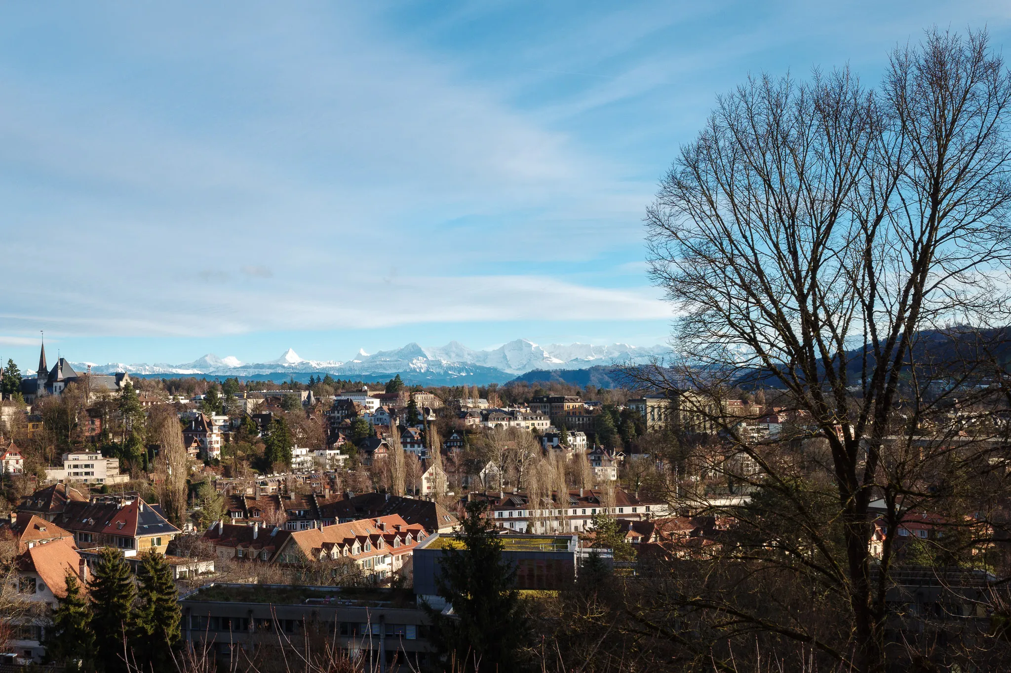 Berner-Alpen im Schnee featured image