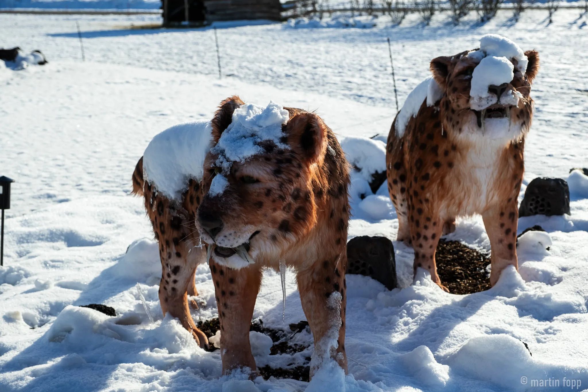 Verschneite Urzeittiere im ZüriZoo