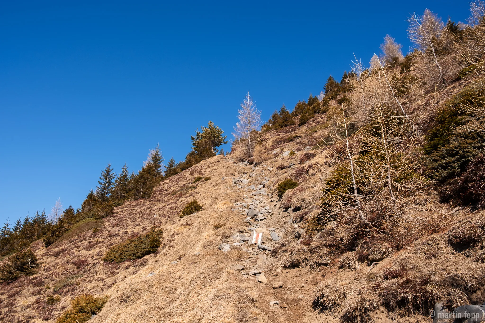 Wanderweg oder Bachbett