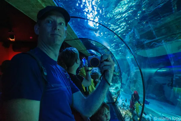 13 Selfie im Legoland