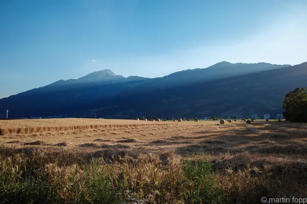 15 Äcker bei Landquart im Abendlicht