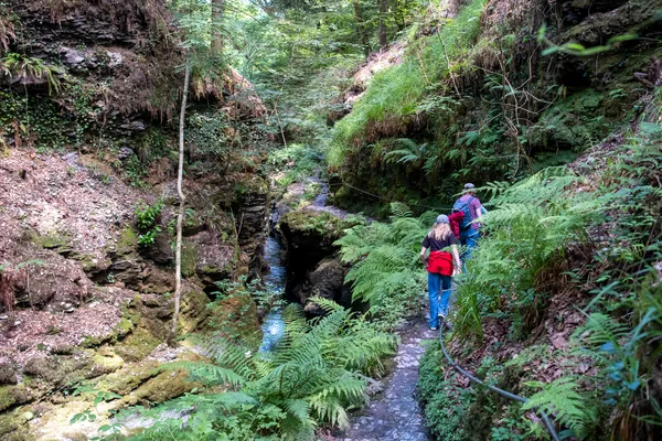 16 Lydford Gorge