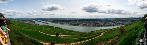 18 Panorama vom Niederwalddenkmal aus über den Rhein 