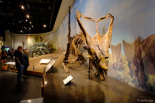 20 Im Royal Tyrell Museum in Drumheller