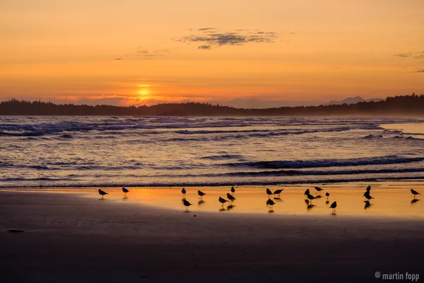 24 Am Strand vom Greenpoint Campground auf Vancouver Island