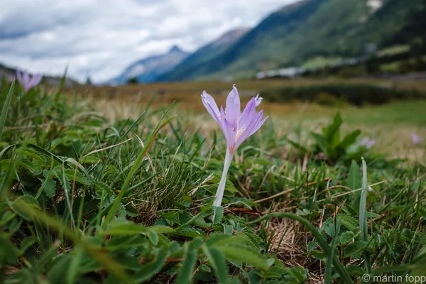 27 erste Zeichen des nahenden Herbst im Engadin