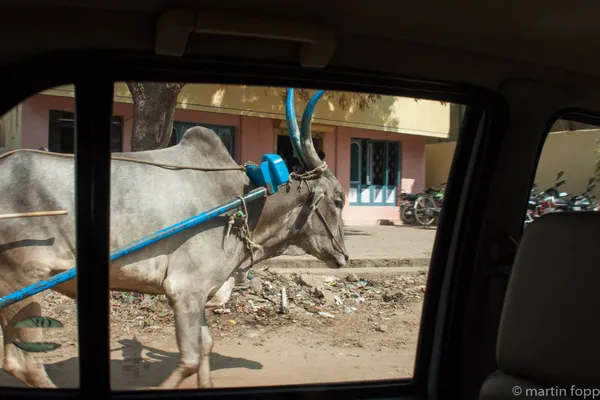 33 Thiruvannamalai - Verkehr