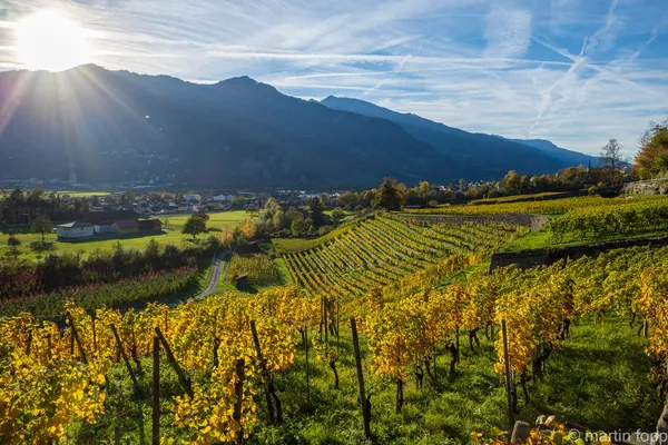 36 Velotour durch die Herrschaft im farbigen Herbstkleid